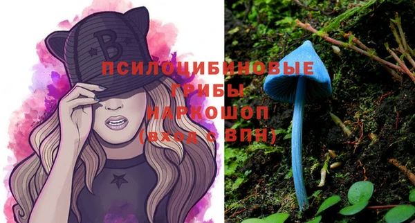 мет Мегион