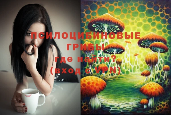 мет Мегион