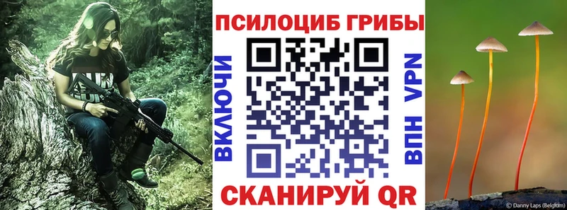 Галлюциногенные грибы MAGIC MUSHROOMS  Углич 