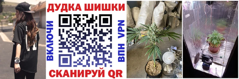 Конопля OG Kush  Углич 